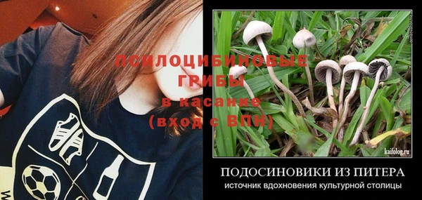 стафф Абдулино