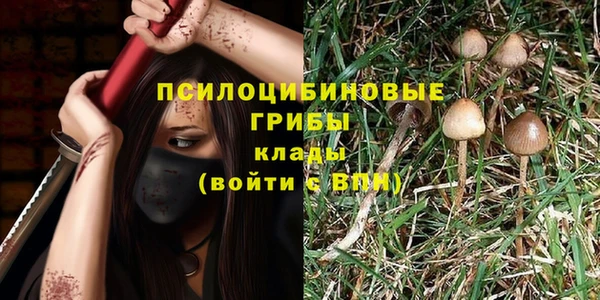 mix Абаза